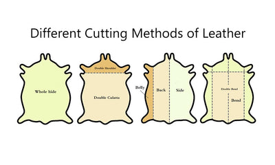 Basic Knowledge of Leather - Colorstepshoes